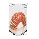 Twist Curve Display System - Panels laid convex