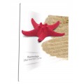 Formulate Horizontal Curve Display Stand