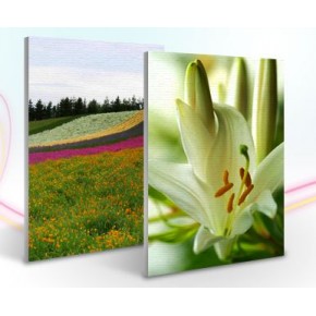 Canvas Prints Canvas Prints