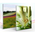 Mounted Canvas Print
