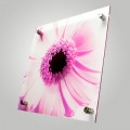 Acrylic Prints