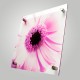 Acrylic Prints