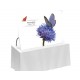 Formulate Desktop Display Stand