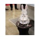 Cardboard Engineering - Rabbit