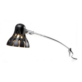 Expand Spotlight Expand Spotlight