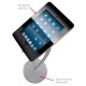 iPad Curve Display Stand